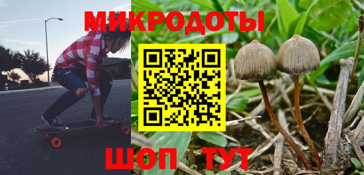 Псилоцибиновые грибы ЛСД Нефтекумск