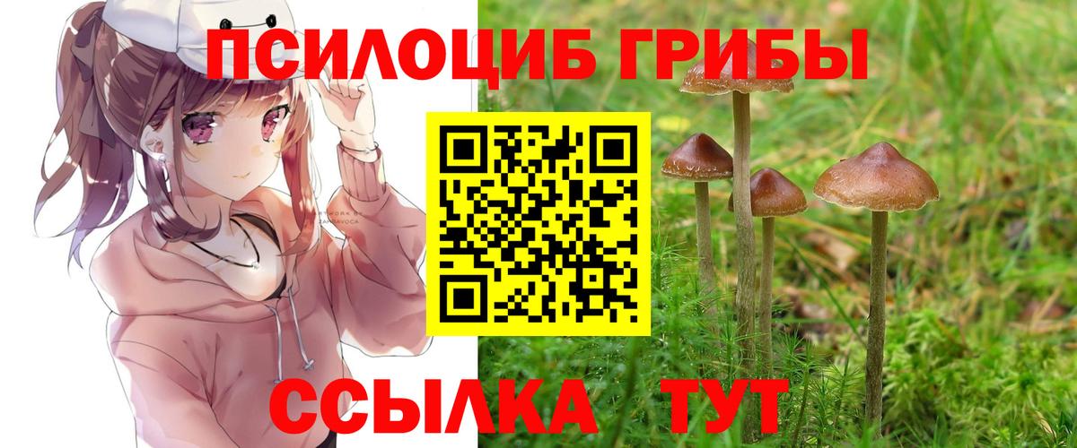 Нефтекумск  Псилоцибиновые грибы MAGIC MUSHROOMS  Галлюциногенные грибы GOLDEN TEACHER  Вход с VPN 